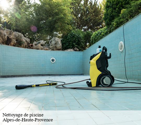 Nettoyage de piscine Alpes-de-Haute-Provence 