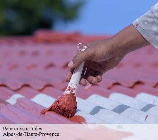 Peinture sur tuiles Alpes-de-Haute-Provence 