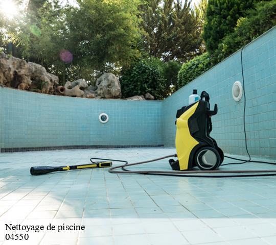 Nettoyage de piscine  04550