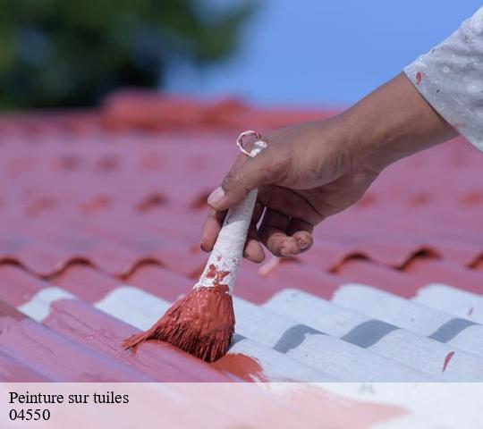 Peinture sur tuiles  04550